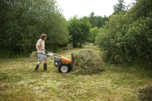 Ecologisch maaibeheer De Bloemert Midlaren