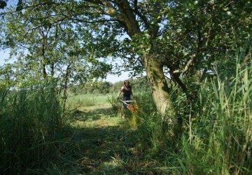 Maaibeheer De Harener Wildernis