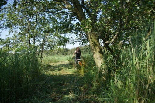 Maaibeheer De Harener Wildernis