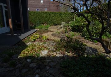 Vernieuwing tuin Ureterp - Foto 9