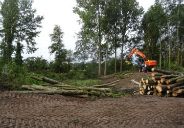 Hergraven poel Boerakker - Foto 3