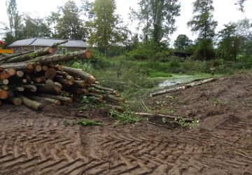 Hergraven poel Boerakker - Foto 4