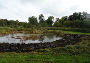 Uitdiepen verlandingszone petgat, Midwolde - Foto 2