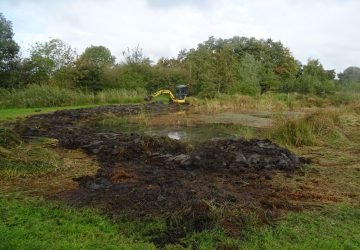 Uitdiepen verlandingszone petgat, Midwolde - Foto 4