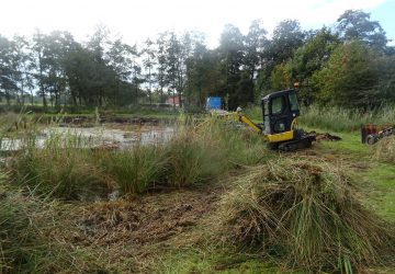 Uitdiepen verlandingszone petgat, Midwolde - Foto 6