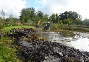 Uitdiepen verlandingszone petgat, Midwolde - Foto 7