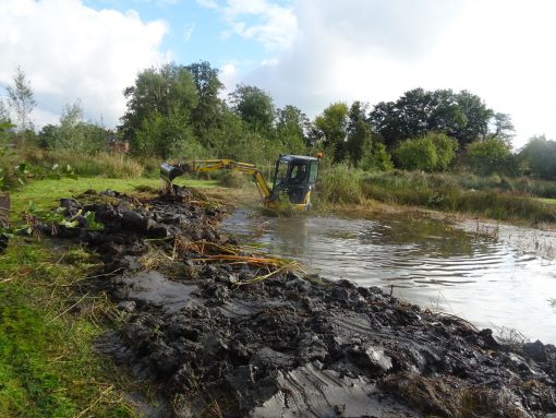 Uitdiepen verlandingszone petgat, Midwolde