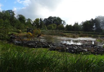 Uitdiepen verlandingszone petgat, Midwolde - Foto 8