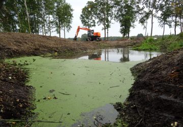 Hergraven poel Boerakker - Foto 7